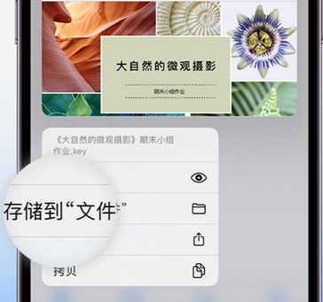 阜康apple维修中心分享iPhone文件应用中存储和找到下载文件