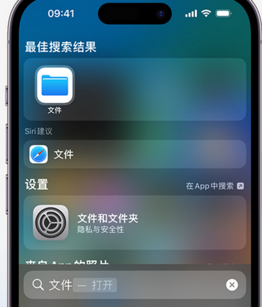 阜康apple维修中心分享iPhone文件应用中存储和找到下载文件 