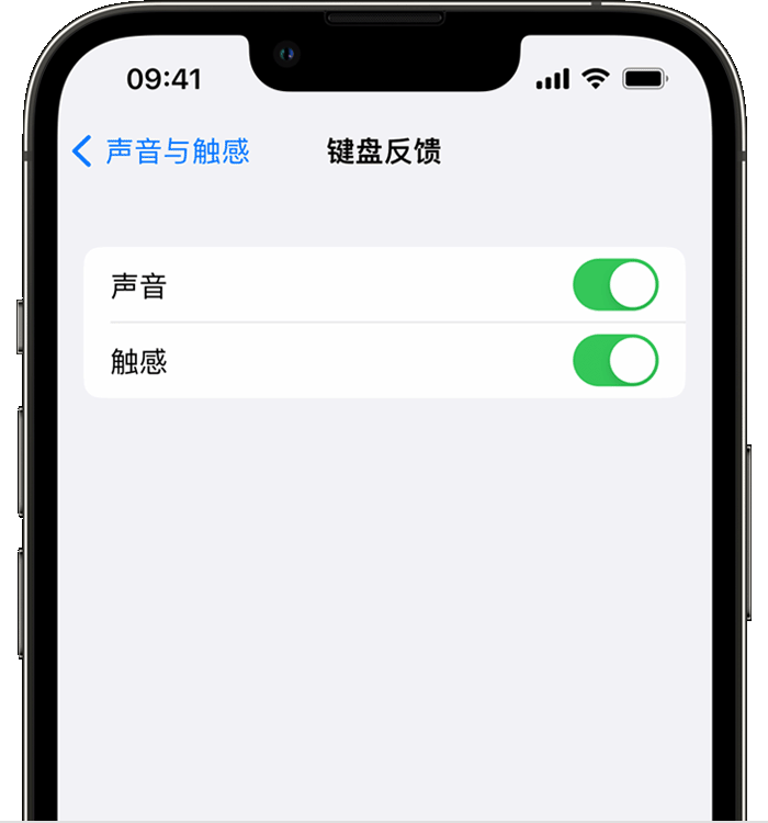 阜康苹果14维修店分享如何在 iPhone 14 机型中使用触感键盘 