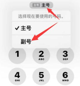 阜康苹果14维修店分享iPhone 14 Pro Max使用副卡打电话的方法 