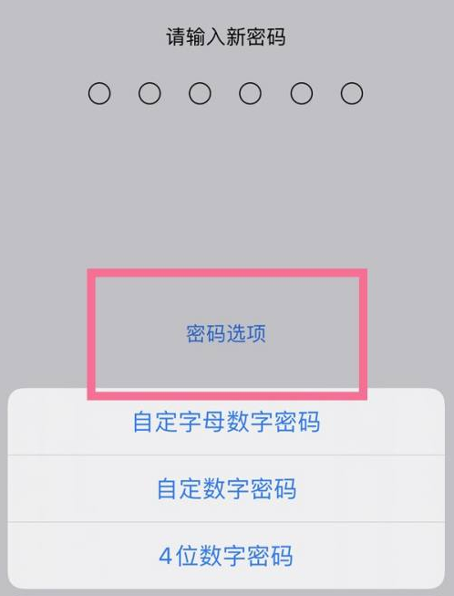 阜康苹果14维修分享iPhone 14plus设置密码的方法 