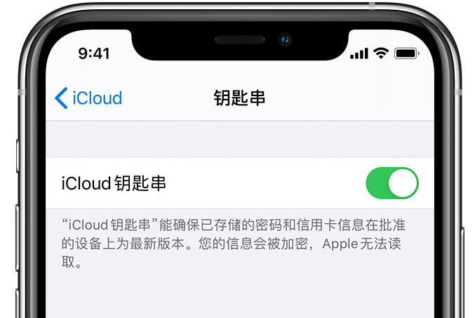 阜康苹果手机维修分享在 iPhone 上开启 iCloud 钥匙串之后会储存哪些信息 